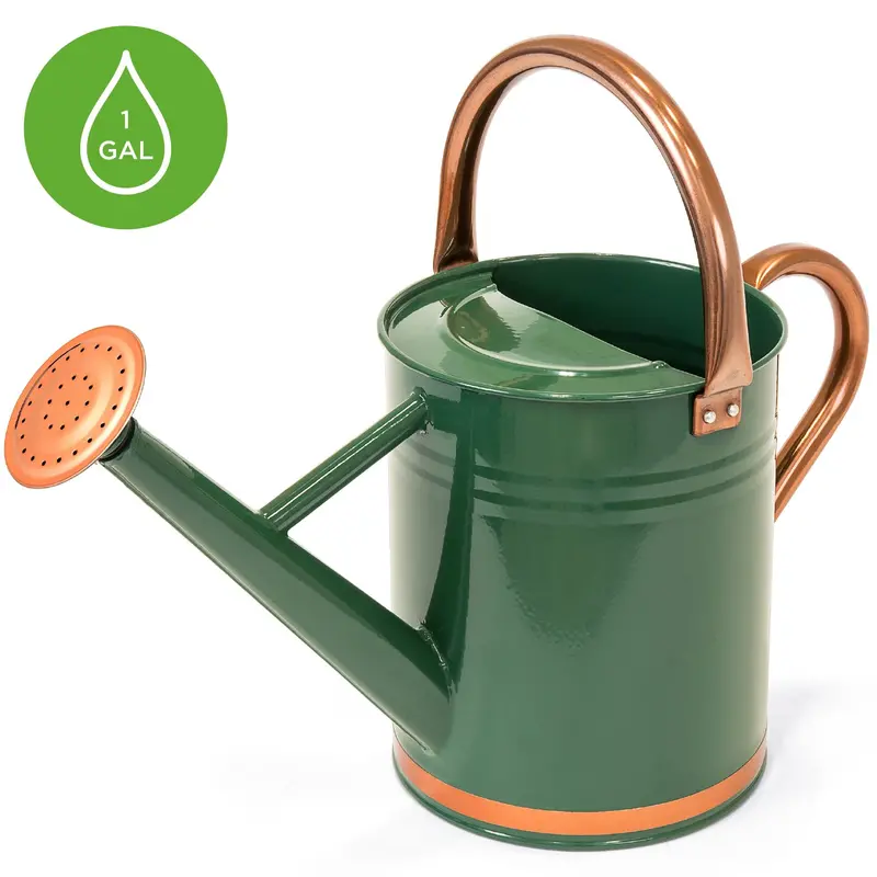 1-Gallon Galvanized Steel Watering Can With Leak-Proof O-Ring Seal And Comfort Top Handle 1