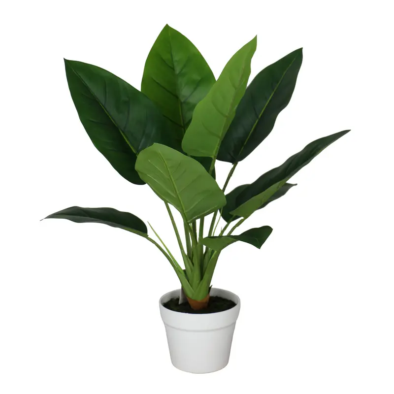 Aureum Bonsai In Glossy White Ceramic Pot – Lifelike Artificial Plant 1