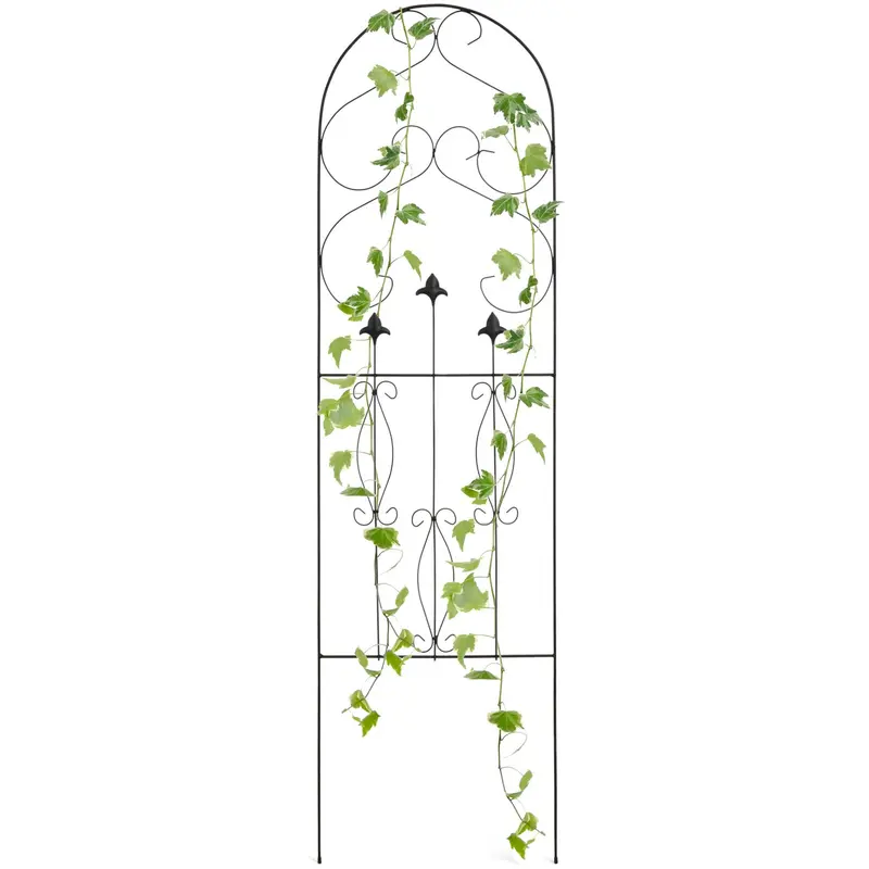 Black Iron Arched Garden Trellis With Scroll Lattice Design (60" X 18") 1