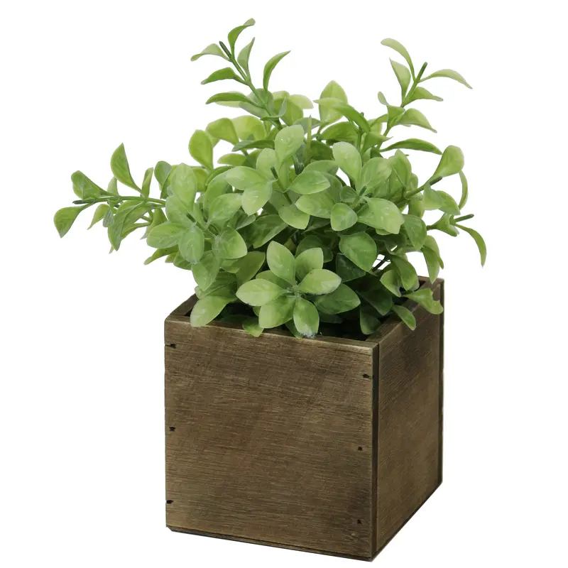 Clean-Line Cube-Shaped Artificial Plant 1