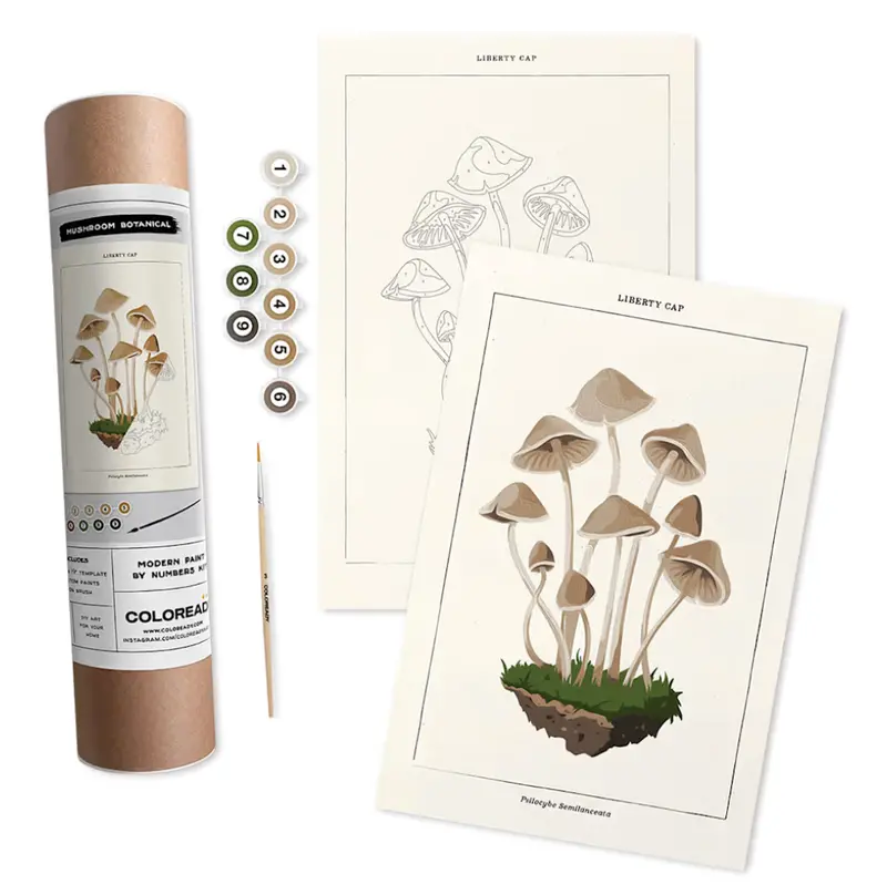 Coloready Paint By Number Kit: Botanical Mushroom Illustration 1