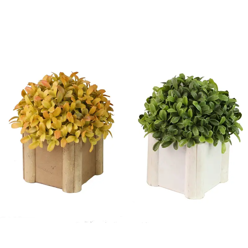 Colorful Mini Shrub Arrangement – Assorted Tones 1