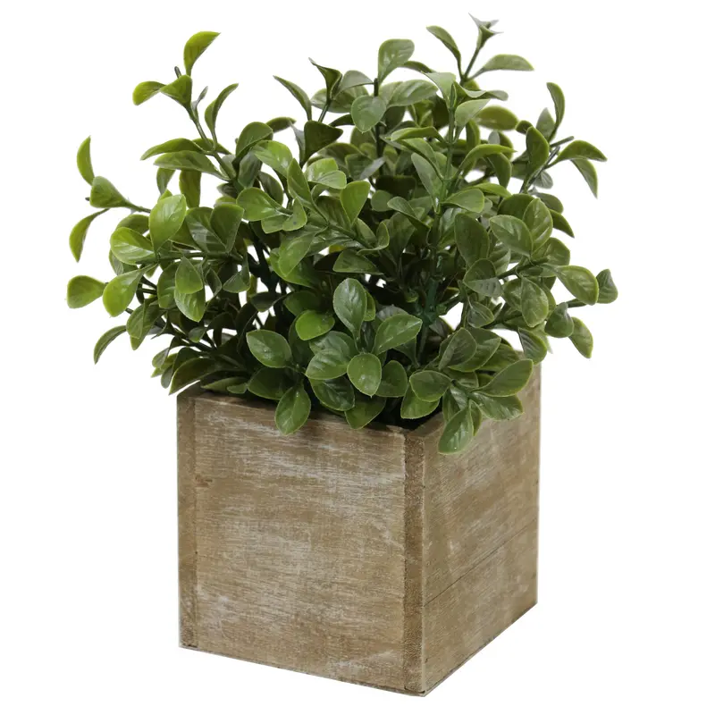 Dark Green Faux Cubic Botanical Accent 1