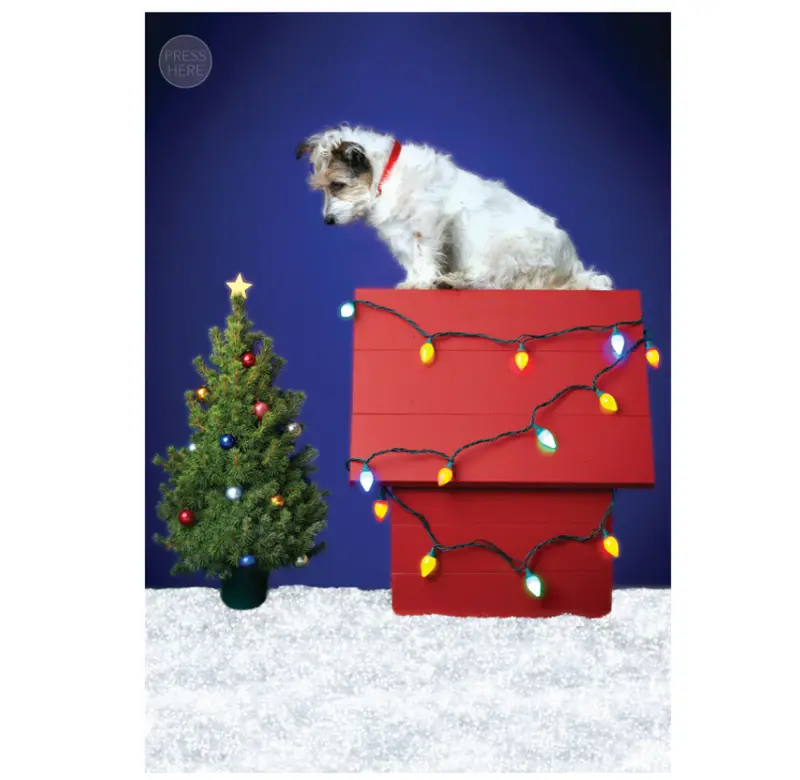 Design Design Dog House Holiday Greeting Card With Envelope 1