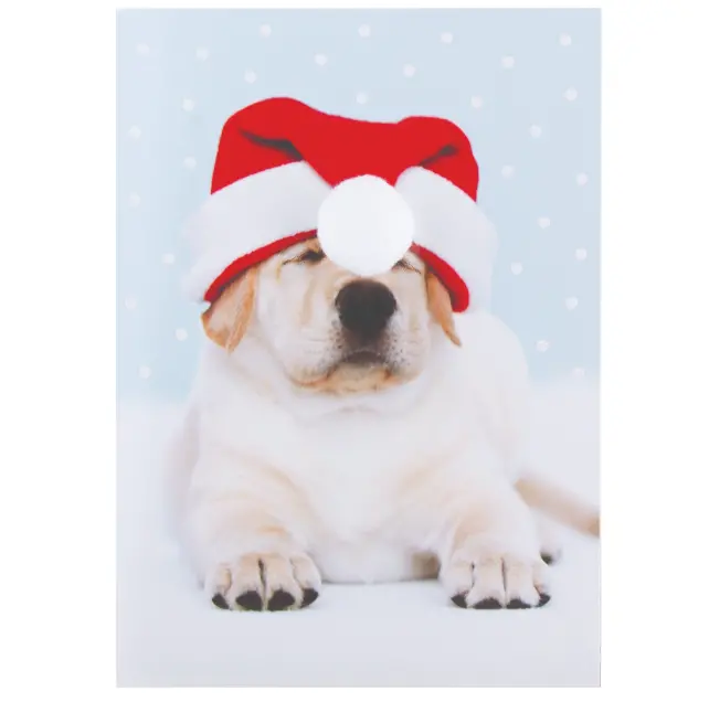 Design Design Silly Santa Cup Themed Greeting Card With Envelope 1