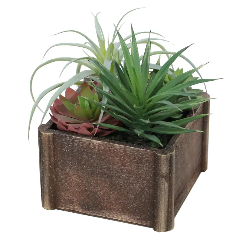 Elongated Leaf Succulent In Modern Planter 1