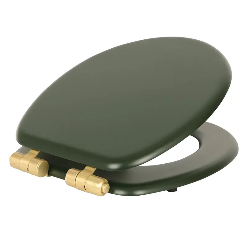 Green And Gold Wooden Soft-Close Toilet Seat – Eco-Friendly Design 1