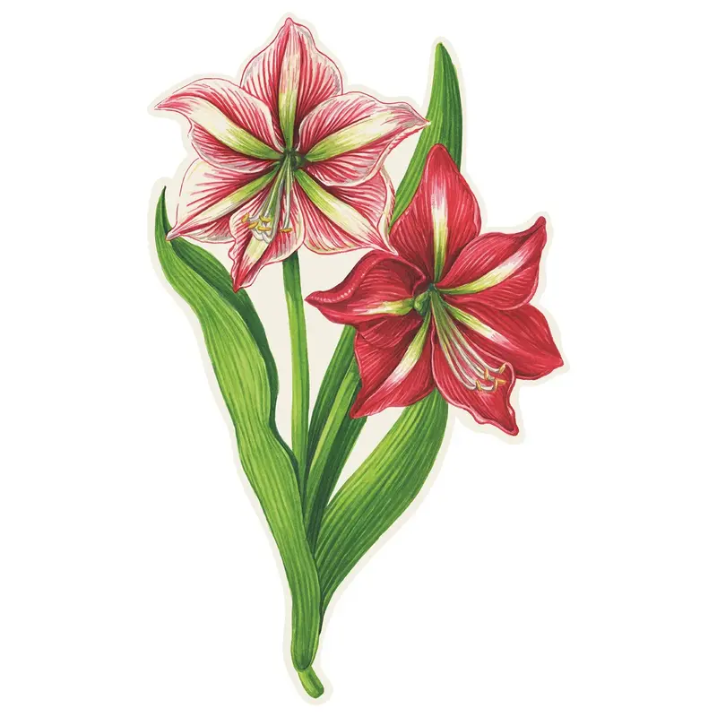 Hester & Cook Amaryllis Table Accent Set – 12-Piece Decorative Arrangement 1