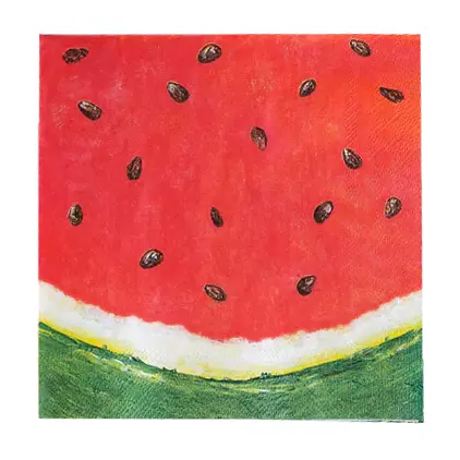 Hester & Cook Watermelon-Themed Beverage Napkins – Pack Of 20 1