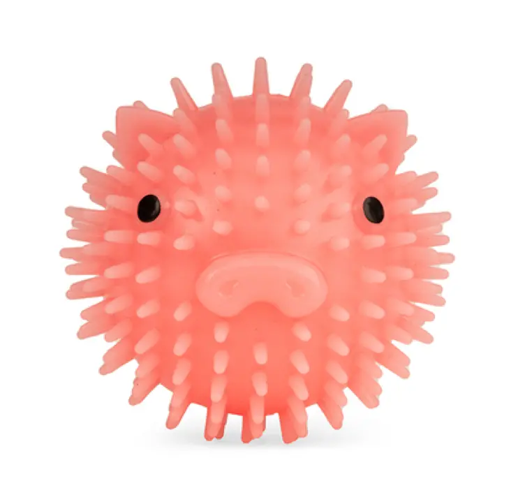 Kikkerland Piggy Ball: Chew-Resistant Dog Toy 1