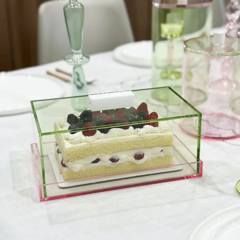 Kinor Green-And-Pink Lucite Rectangular Cake Dome With Modern Hue Contrast 1