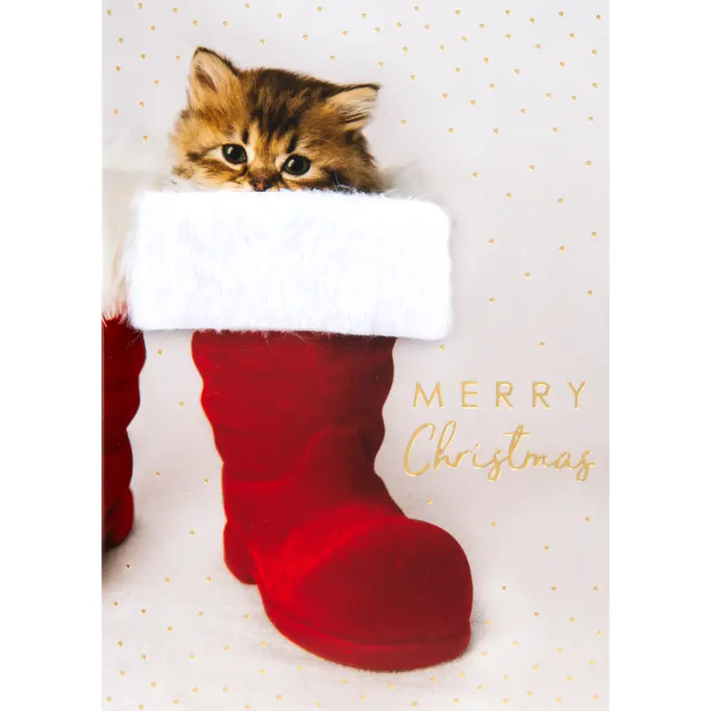 Kitten In Stocking Greeting Card – Design Design Holiday Card With Envelope (1 Set) 1