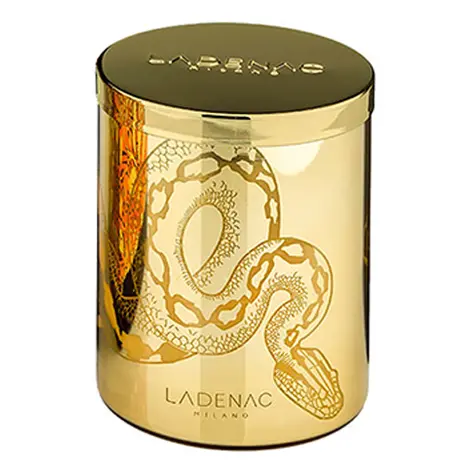 Ladenac Milano Africa Snake Scented Jar Candle – 12 Oz Exotic Fragrance Soy Candle 1