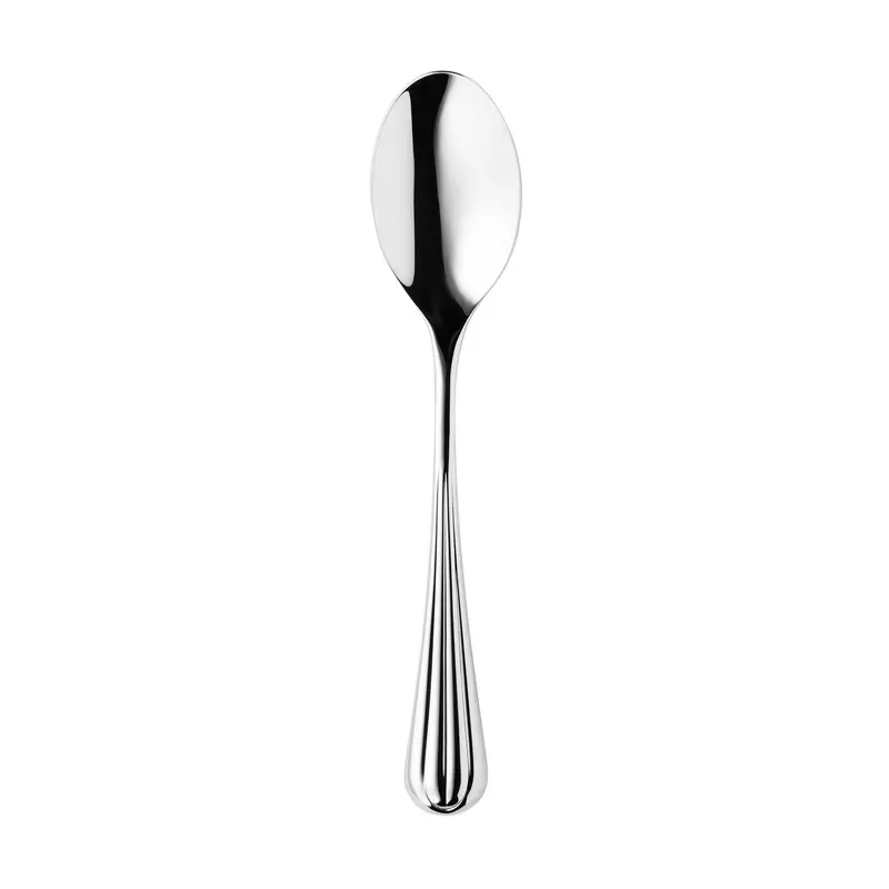 Palm Air Bright Stainless Steel Serving Spoon 1