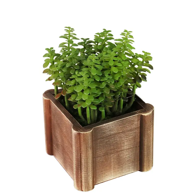 Rustic-Inspired Potted Foliage – Natural-Looking Indoor Greenery 1