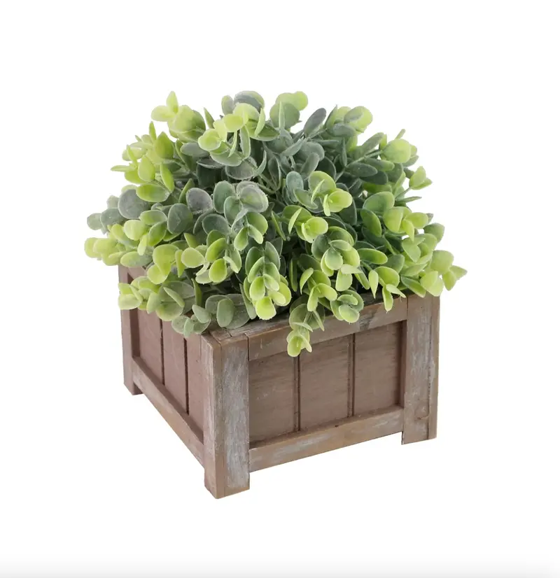 Rustic Square Ceramic Shrub Display 1