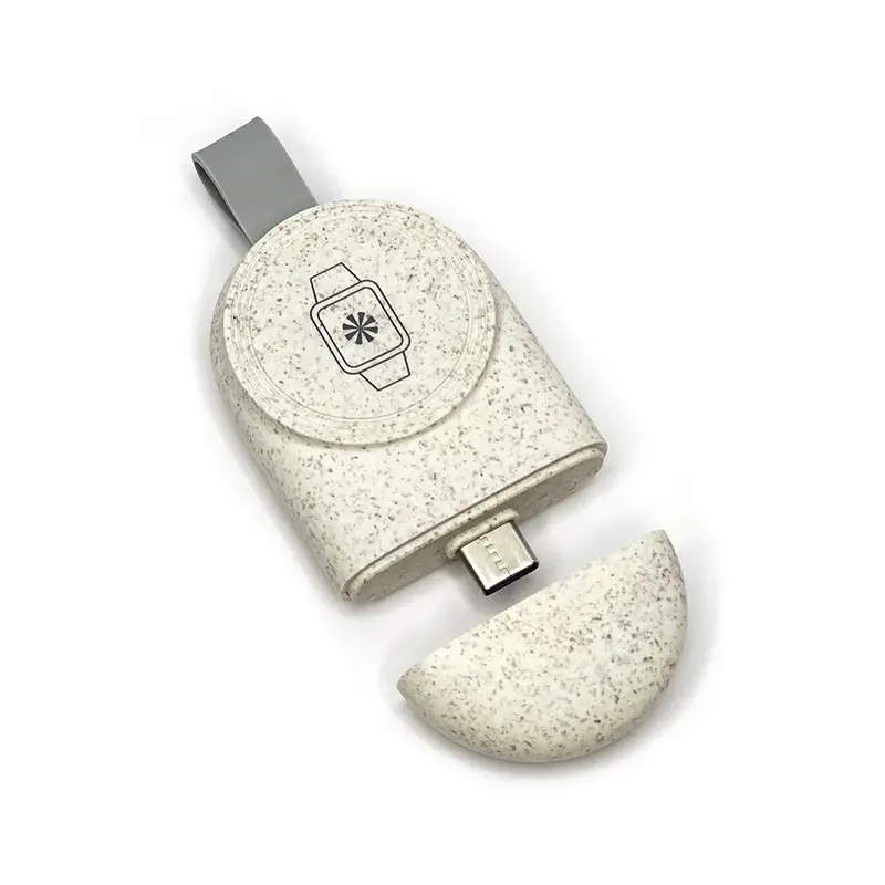 Tech Candy "Watch Me Go" Apple Watch Usb-C Charging Adapter 1