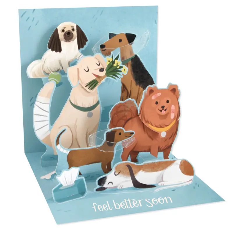 Up With Paper 3D Pop-Up Get Well Card Featuring Playful Dogs 1