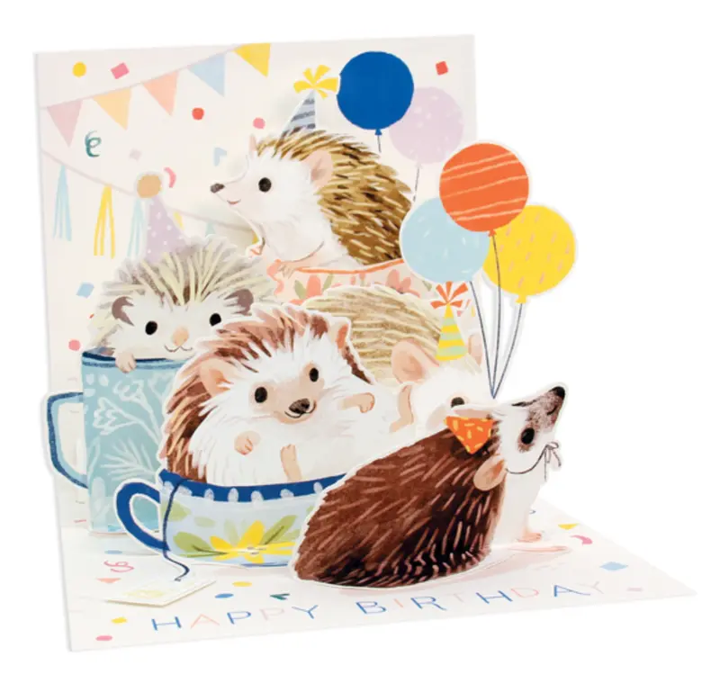 Up With Paper 3D Pop-Up Hedgehog Design Greeting Card 1