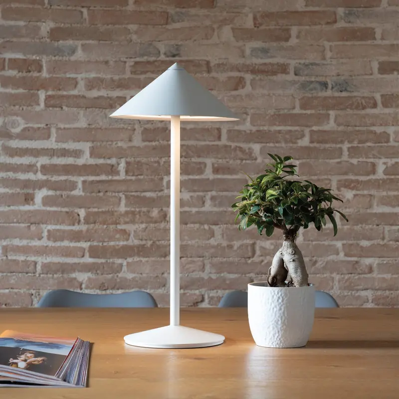 Zafferano Pina L – Slim Cordless Desk Lamp With Usb-C Charging 1